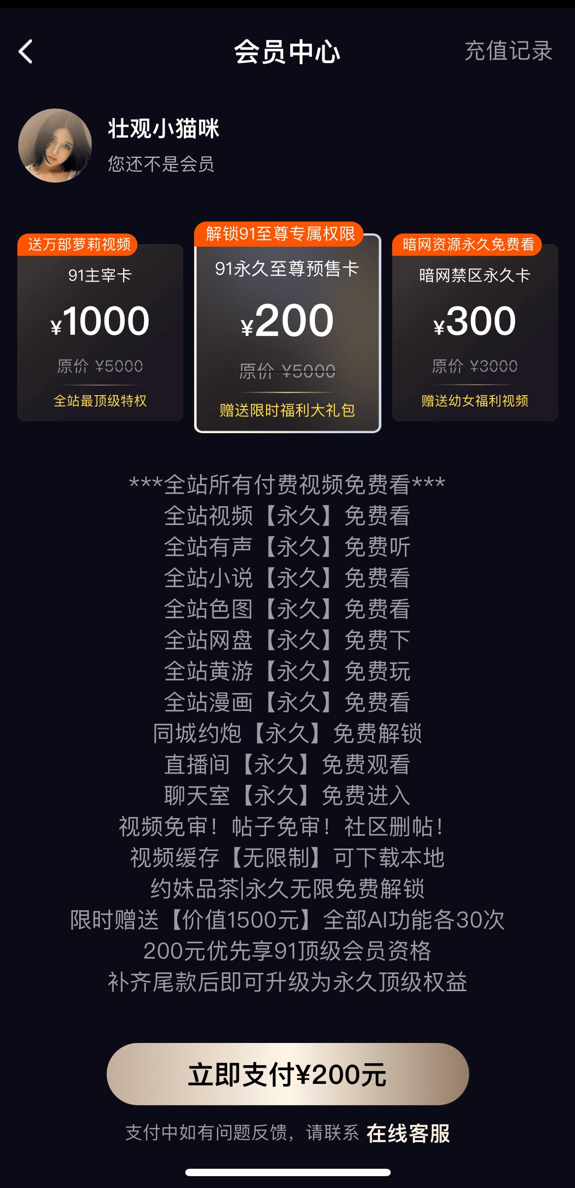 91PO会员开通页面特权说明与订阅方案展示